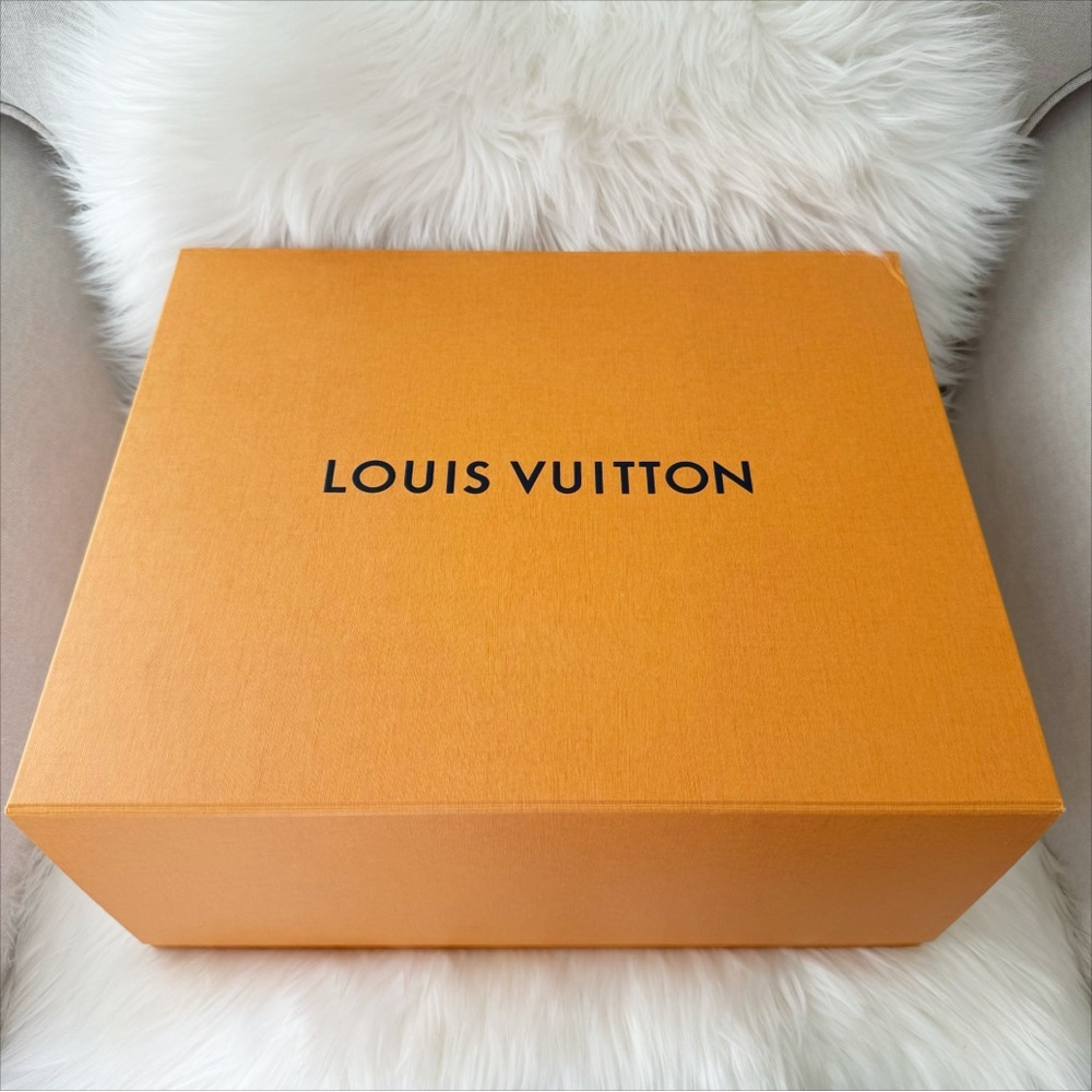 NIB Louis Vuitton Speedy 25 By The Pool Bandouliere Crossbody Special Edition - Picture 16 of 16